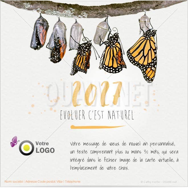ECVN 02 - Ecard entreprise évolution