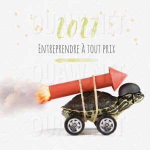 Carte de voeux Papier Entreprise, Entreprendre à tout prix