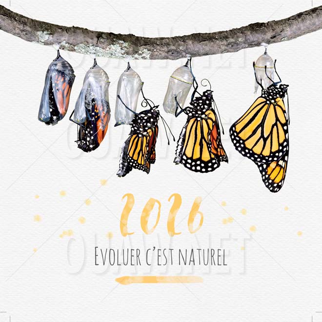 Carte de voeux Papier professionnelle, Evoluer c'est naturel