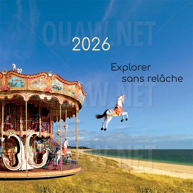 Carte Voeux Entreprise imprimable, Explorer sans relâche