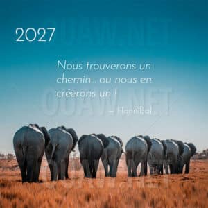 Carte de voeux Entreprise - Trouver un chemin