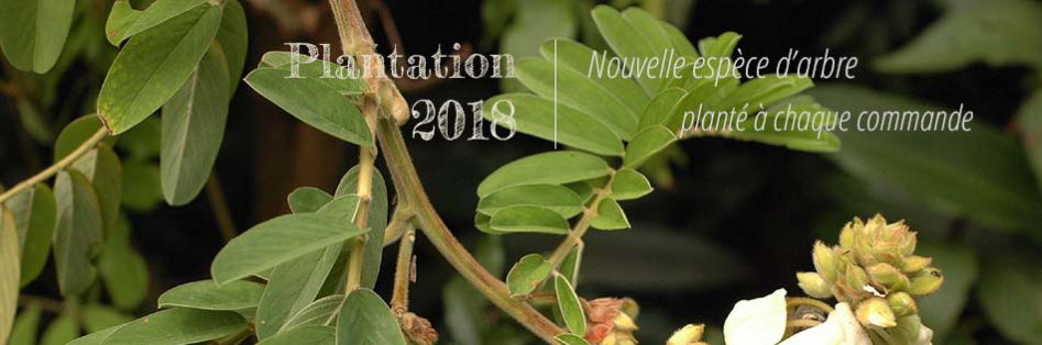Cartes écologiques nouveaux arbres plantés