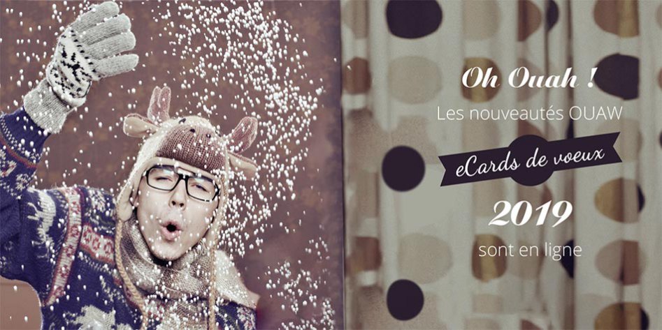 Améliorations et nouveautés voeux 2019