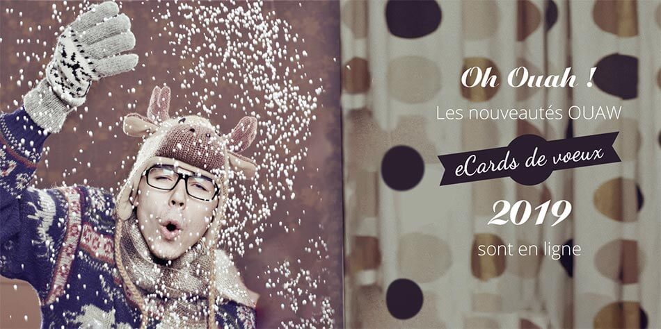 Améliorations et nouveautés voeux 2019