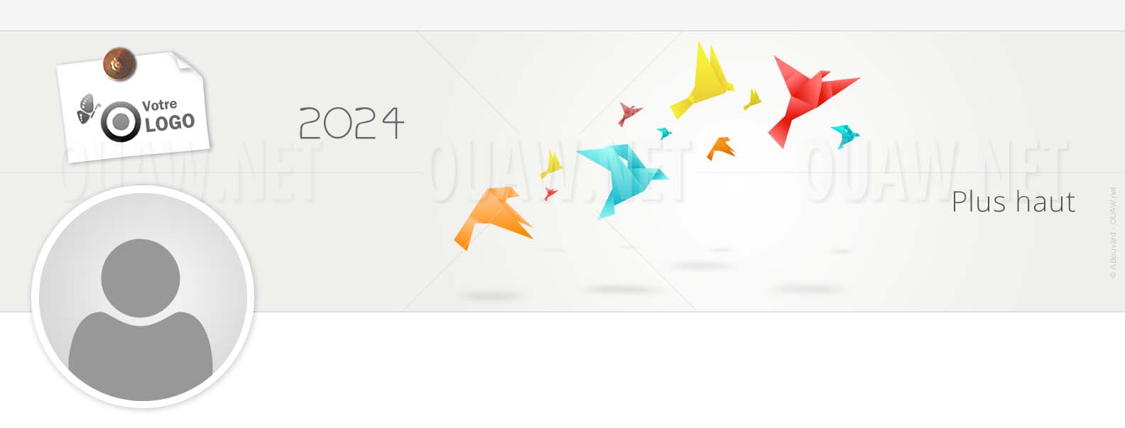 EBIN62 - Bannière Linkedin Oiseaux Origami Plus haut