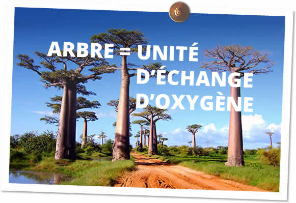 arbre = unité d'échange d'oxygène