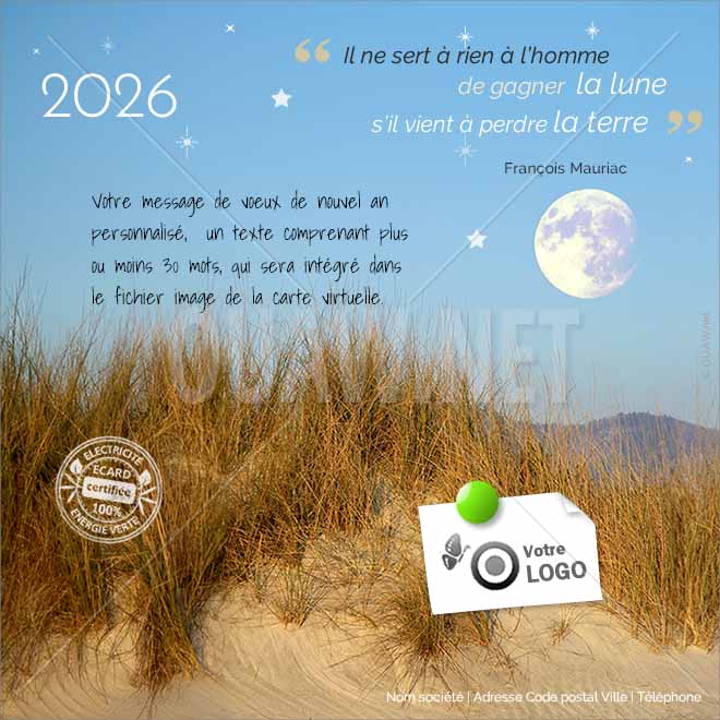 ECVN 20 - Carte de voeux Terre / Lune