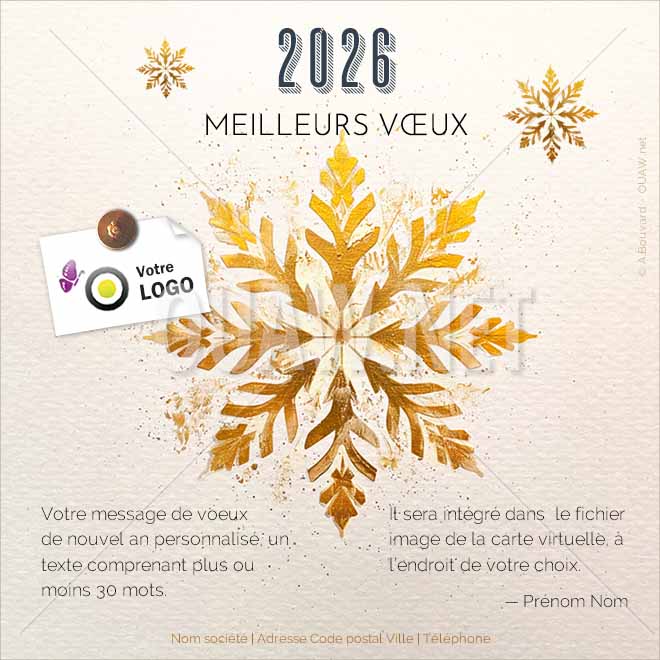 ECVN 166 - ecard voeux entreprise Noël et nouvel an, flocon Or