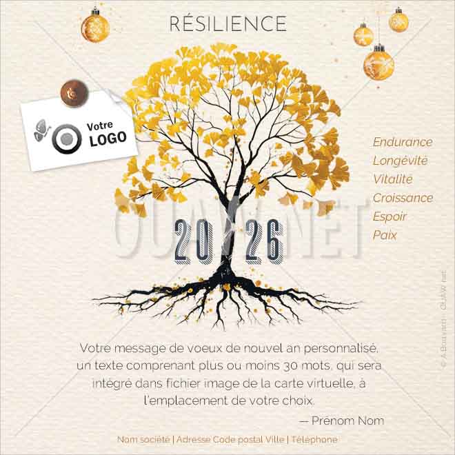 ECVN 168 - Carte de voeux numérique entreprise 2026, Résilience
