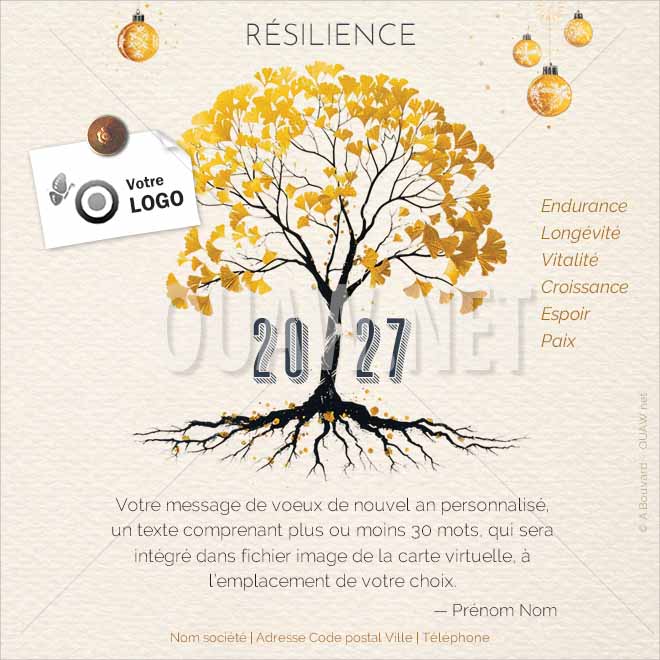 ECVN 168 - Carte de voeux numérique entreprise 2027 Résilience