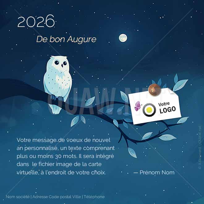 ECVN 169 - Carte voeux entreprise Hibou, de bon augure