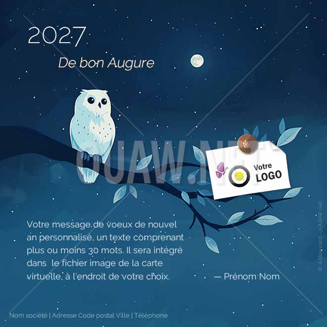 ECVN 169 - Carte voeux entreprise Hibou, de bon augure