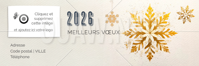 email 166 - signature mail renouveau flocon or