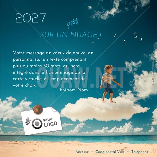 ECVN 173 - Carte voeux Entreprise Sur un nuage