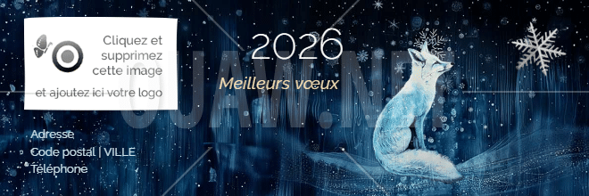 EMAIL 158- signature mail, meilleurs voeux, renard blanc
