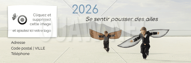 EMAIL 71 - Signature mail Des ailes