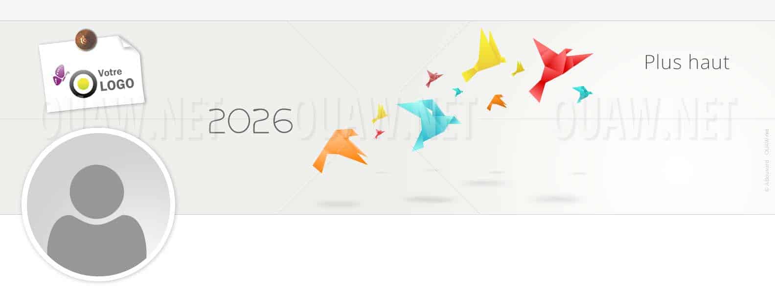 EBIN62 - Bannière Linkedin Oiseaux Origami Plus haut