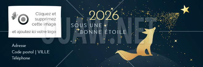 EMAIL 164 - Voeux signature mail Sous une bonne étoile