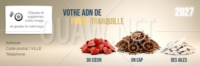Email 181 - Bannière signature mail voeux 2027 - ADN force tranquille